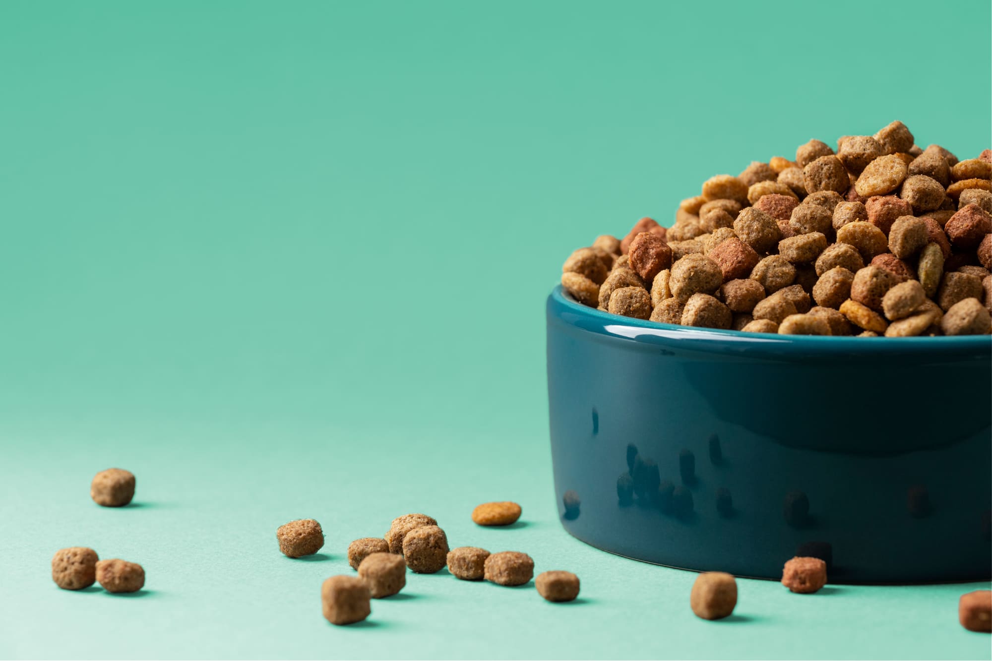 pet food kibbles
